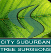https://tree-surgeons.net/